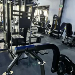 OH Gym training & swimming bodies