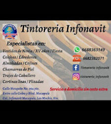 Tintoreria Infonavit