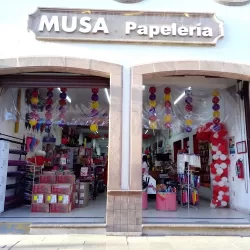 PAPELERÍA MUSA SUC. SAN LUIS