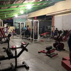 Zeus GYM