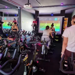 Rider's cycling studio