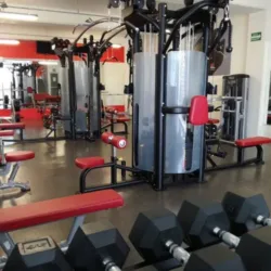 Gym Sport & Family