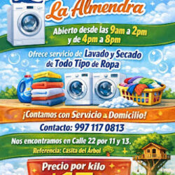 Lavandería La Almendra