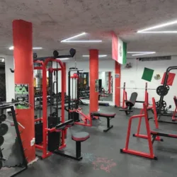 Afronta Gym