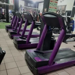 Gym Body Force