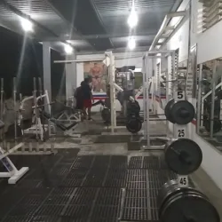 Alce Gym