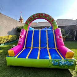 trampolines e Inflables "Leonel"
