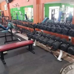 Olympic Gym