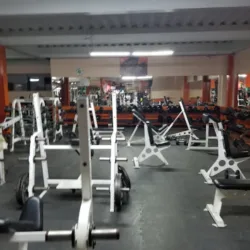 GLADIATOR'S GYM & FITNESS