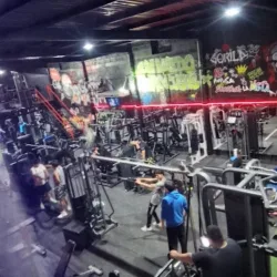 Gorila Gym