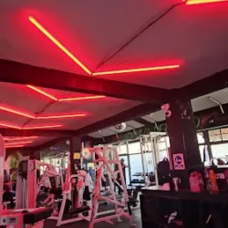 Gym elite San mateo