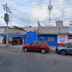 Tintorería Erika