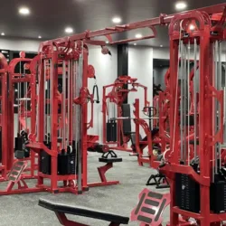 Strong Gym suc. Plaza tec.