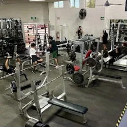 Attitude Gym