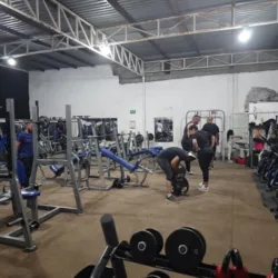 Fitness Gym