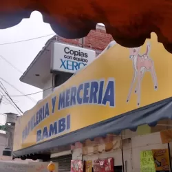Papelería Y Merceria Bambi