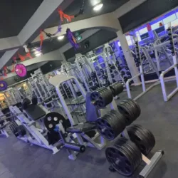 GymBear