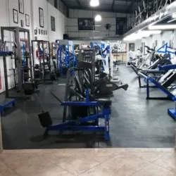 Animal Gym