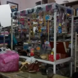 Manualidades Endivi