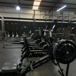 Black Bears Cross Training
