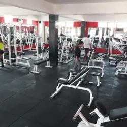 Total gym