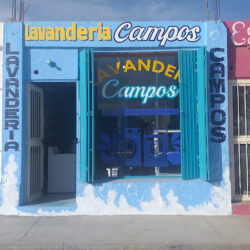 Lavanderia campos