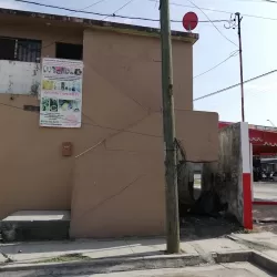 Recuerditos Elena