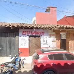 Nudo de Gato