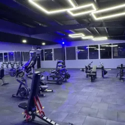 OLLEKO Gimnasio La Noria