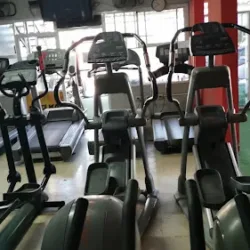 Radical Gym