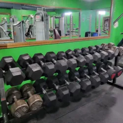 Z Gym