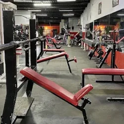 New Line Gym