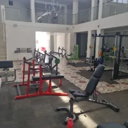 Mamba Gym