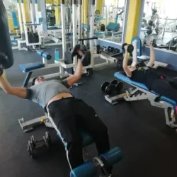 Estelaris Gym