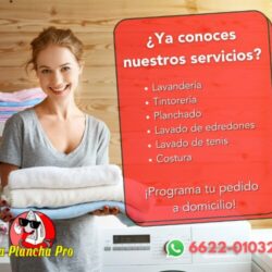 La Plancha Pro