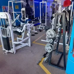 Gym Strong Muscle