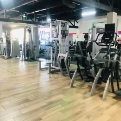 Active Fit The Club