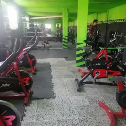 GYM BULLS EMPIRE