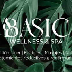 BASIC WELLNESS SPA