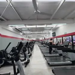 Total Gym Navojoa