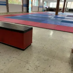 Team Madrigal Taekwondo