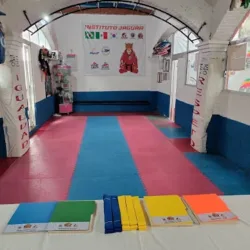 Instituto Jaguar, Taekwondo y Jiu Jitsu Brasileño