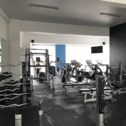 Levy Fit