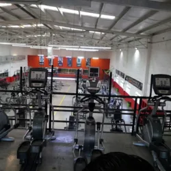NEX Gym