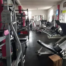 Gym Musclecav
