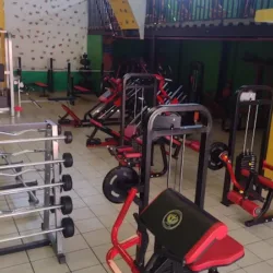 Olympus Gym