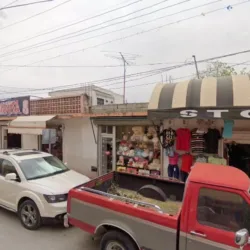 VIVA FIESTA ARROYO
