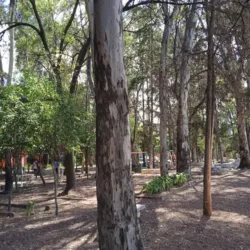 Barras Deportivo Xochimilco