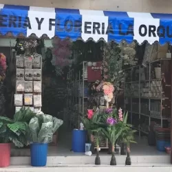 Mercería la Orquídea Huejutla