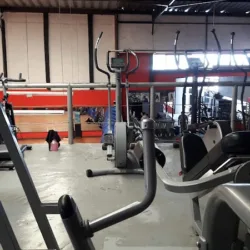 Gym Perro Aguayo